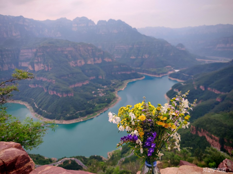 mmexport1753155253784