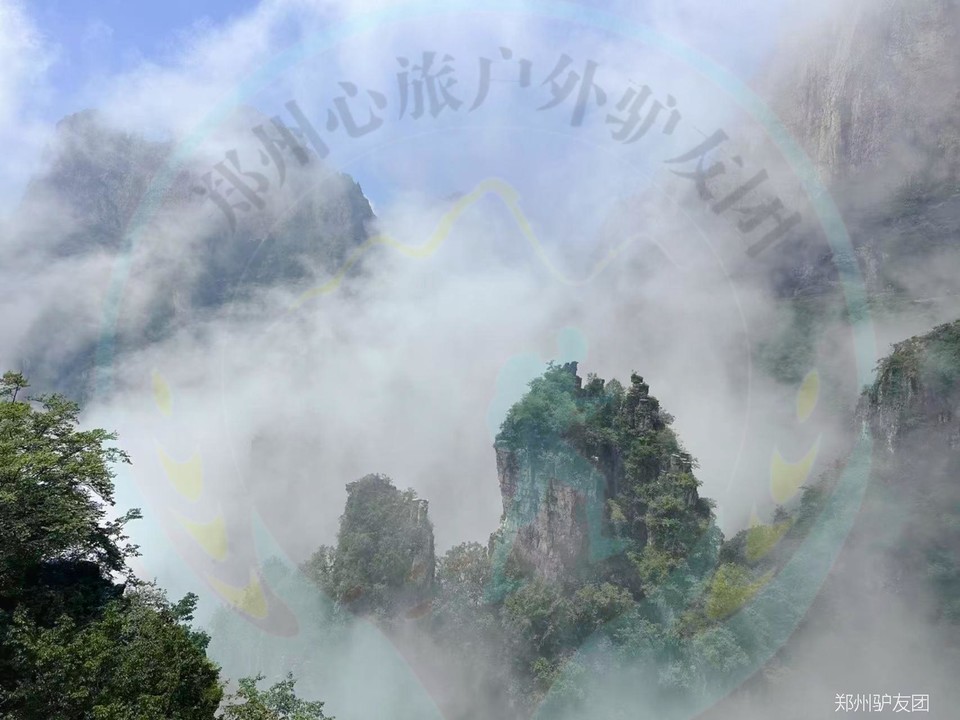 mmexport1753693205420