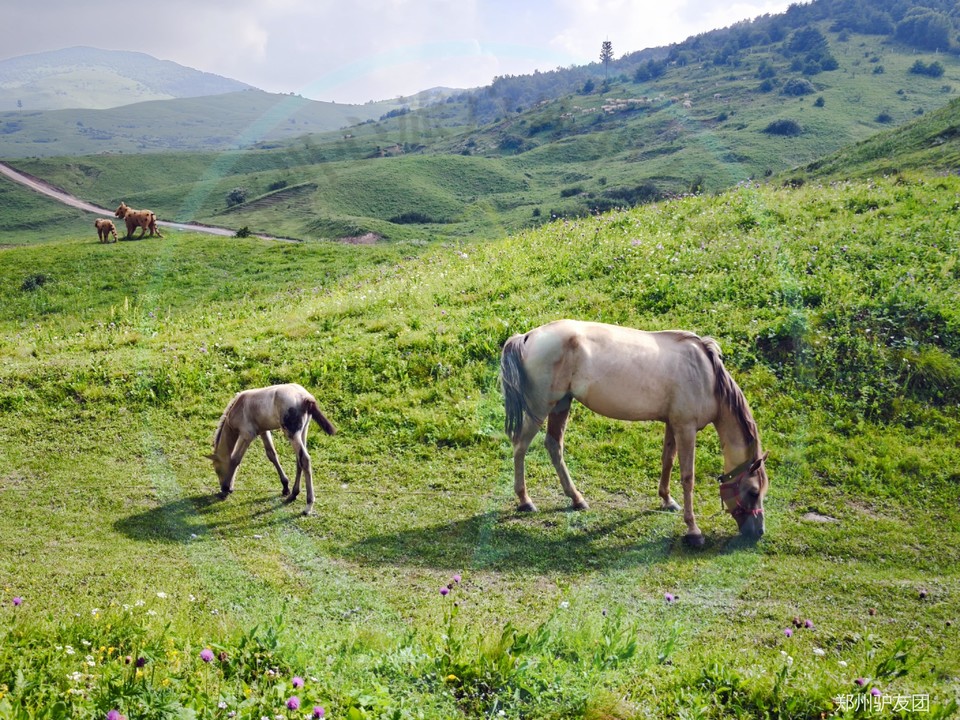 mmexport1753675847387