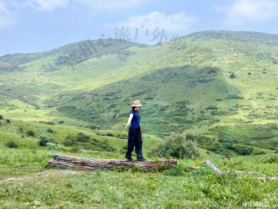 mmexport1753676351967