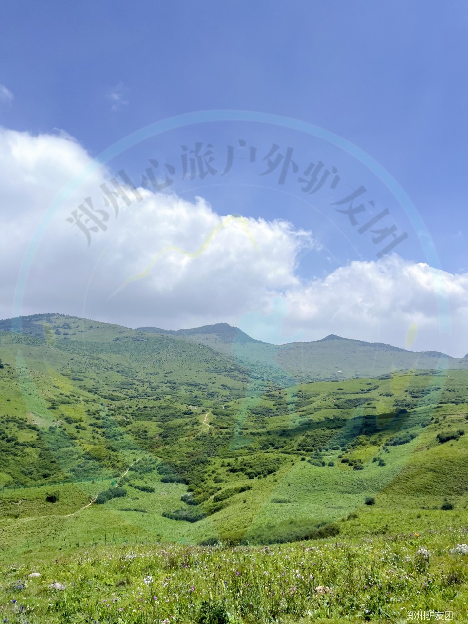 mmexport1753676388542