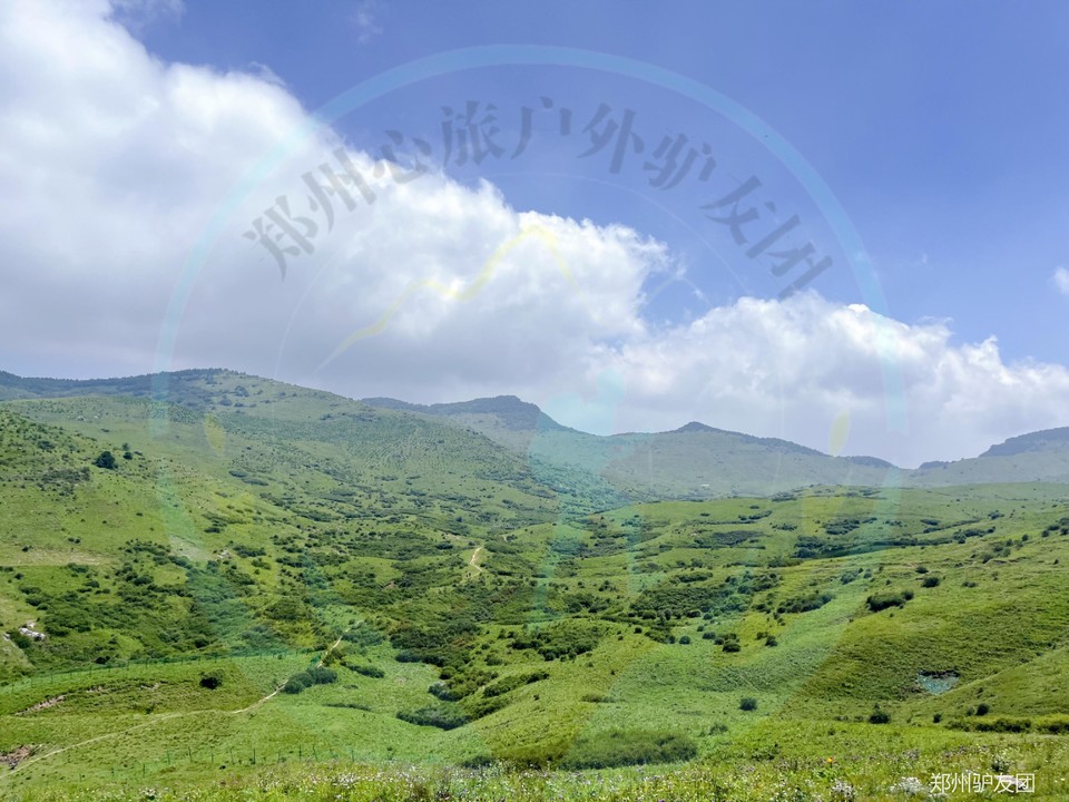 mmexport1753682361384