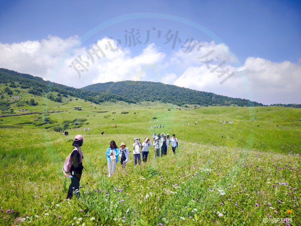 mmexport1753683599165