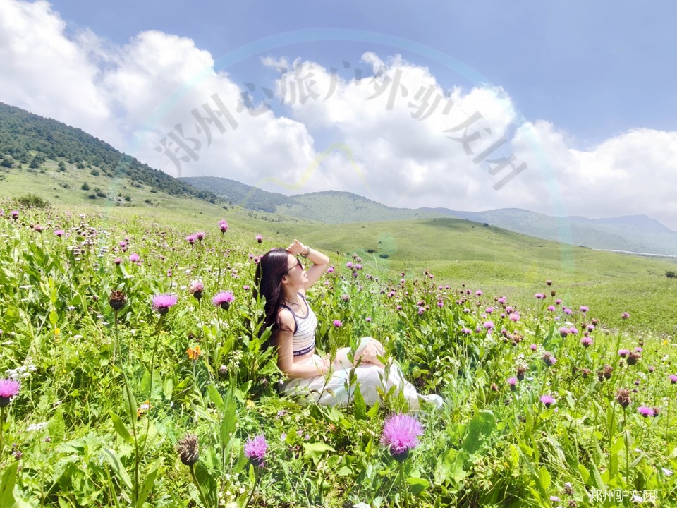 mmexport1753683755688