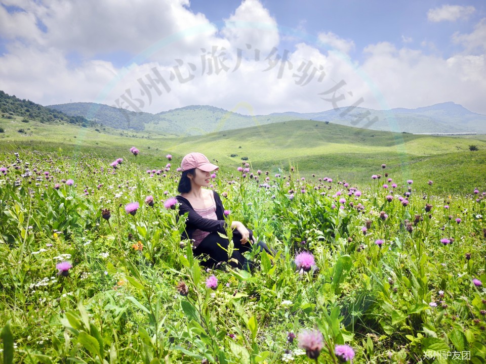 mmexport1753683870221