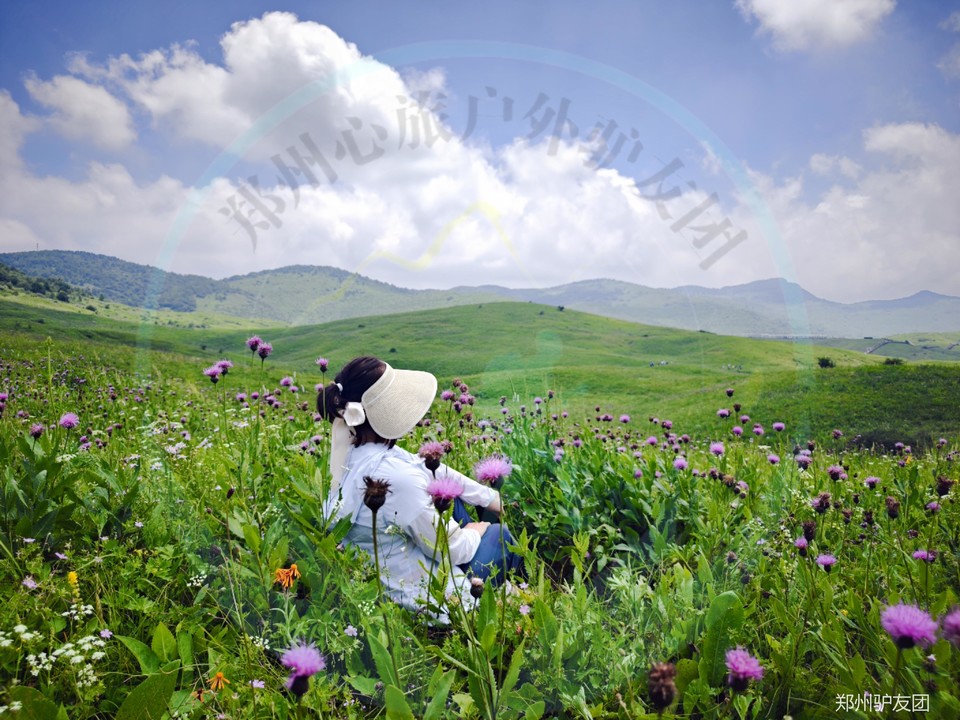 mmexport1753683897786