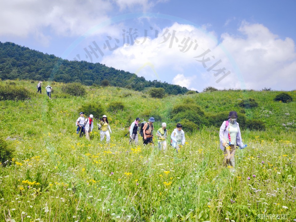 mmexport1753685395371