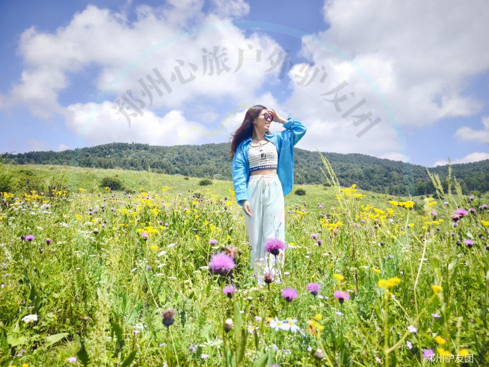 mmexport1753685409253