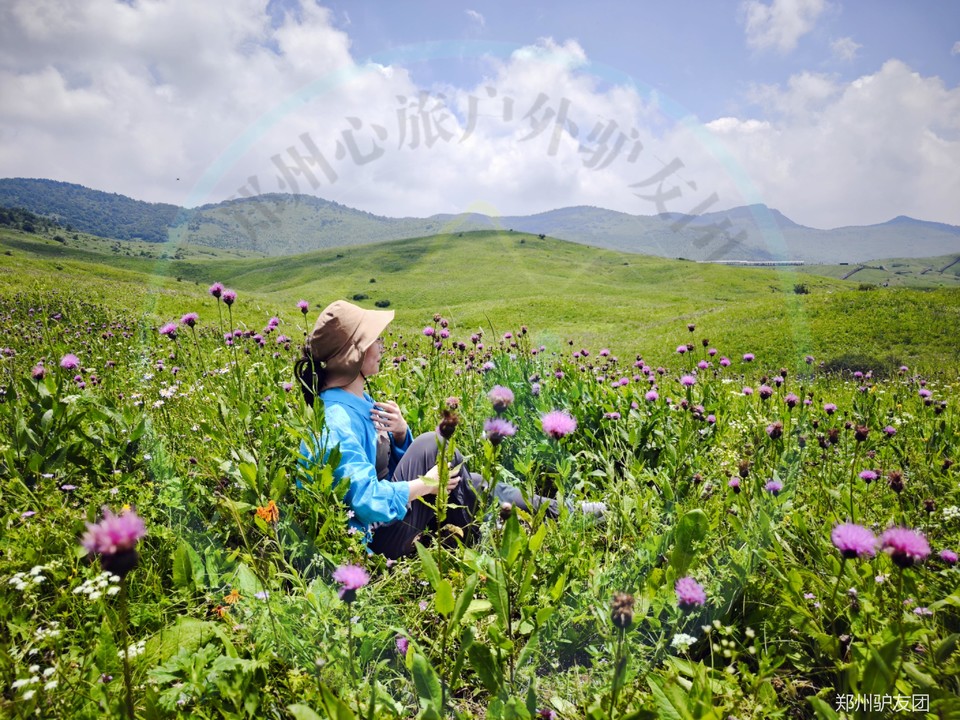 mmexport1753683808558