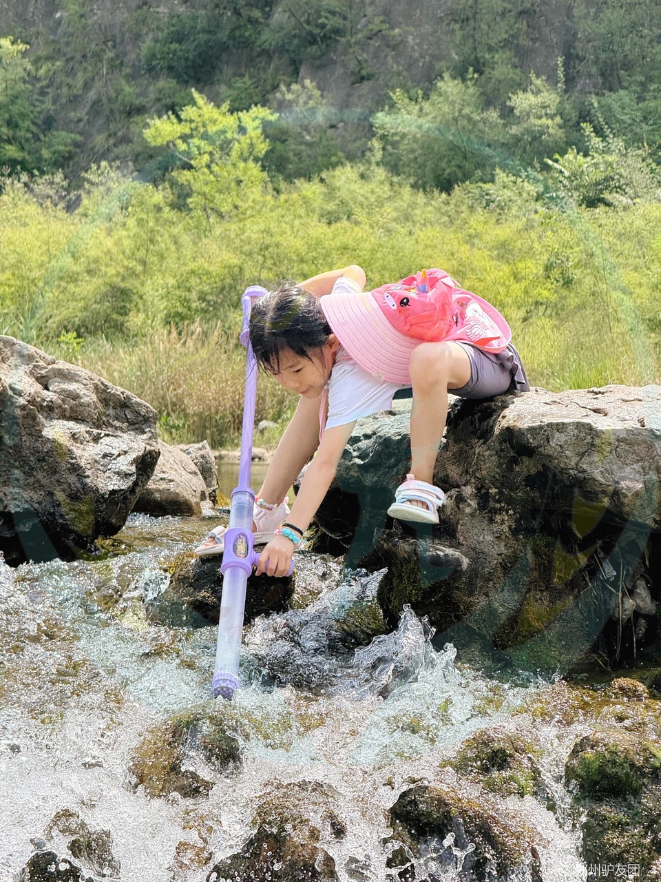 mmexport1753767506231