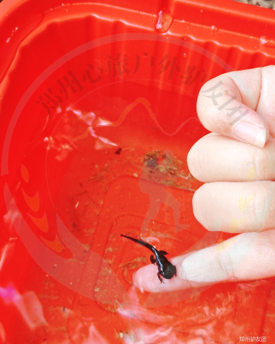 mmexport1753768163121