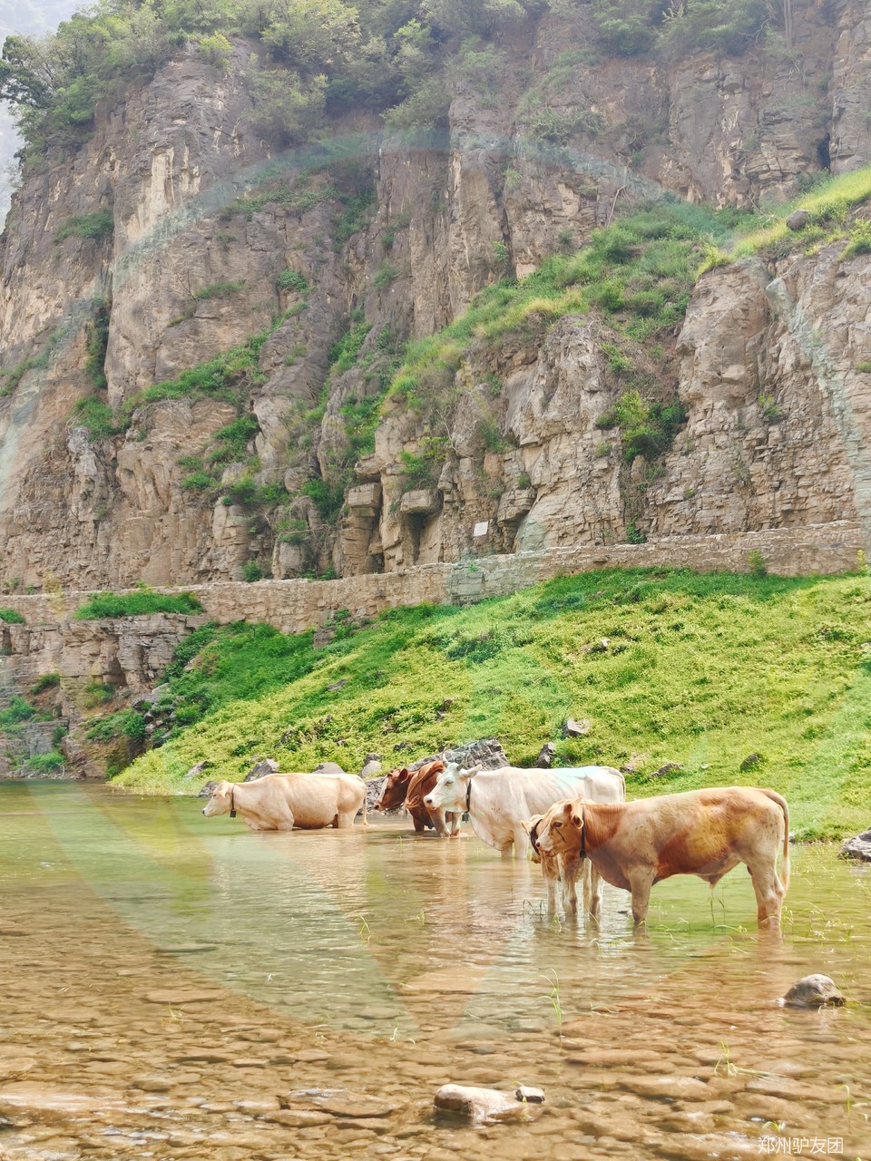 mmexport1753758468655