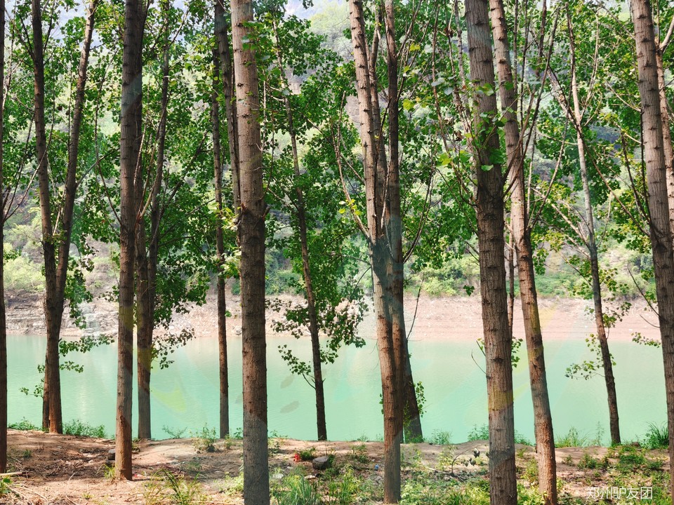 mmexport1753758518740