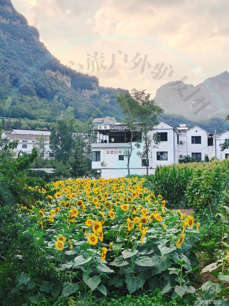 mmexport1753759047370