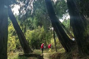 【心旅户外】4月4日-6日（清明假期）徒步古蜀道、对话翠云廊｜踏金牛古道，登剑门雄关｜赴一场三千年蜀道徒步之约（可亲子）