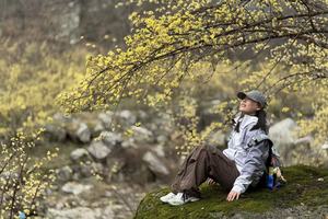 【心旅户外】3月21日（周六）伏牛山经典线路  油坊沟穿越白鹰河 邂逅山茱萸花海