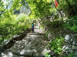 【亲子户外】4月12日（周日）春行太行｜白陉古道+红豆杉大峡谷 | 古道春风，太行童行