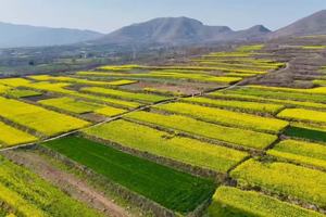 【心旅户外】3月25日（周三）老山坪徒步｜中原小五台！具茨山高山草甸穿越（郑州驴友团首发）