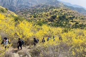 【心旅户外】4月1日（周三）太行秘境·手扒岩穿越三县脑｜一脚踏三县，漫山金甲映朝歌