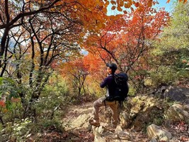 【心旅户外】10月18日（周日）秋染五乳峰：在少林禅意之外，邂逅中原最美红叶​