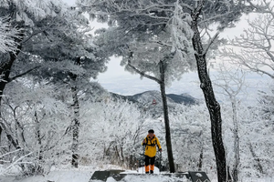 【心旅户外】12月13日（周六）“冰雪盛宴” ---踏雪嵩山，赏峻极峰雪景、雾凇奇观