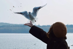 【亲子户外】12月13日（周六）赴一场三门峡的冬日之约：与地坑院共温旧时光，伴白天鹅同舞黄河畔