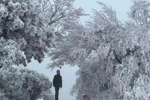 【亲子户外】12月14日（周日）嵩山雾凇童话世界｜赴一场冰雪奇缘，开启亲子踏雪之旅