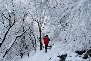 【心旅户外】1月24日（周六）“冰雪盛宴” ---踏雪嵩山，赏峻极峰雪景、雾凇奇观