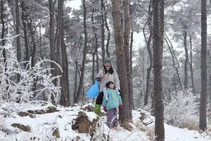 【亲子户外】3月1日（周日）嵩山卧龙峰冰雪盛宴｜赴一场冰雪奇缘，开启亲子踏雪之旅