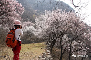 【心旅户外】3月4日（周三）“世外桃源”黑鹿河，邂逅绝情桃花谷