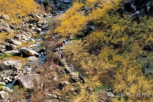 【心旅户外】3月11日（周三）伏牛山经典线路  油坊沟穿越白鹰河 邂逅山茱萸花海