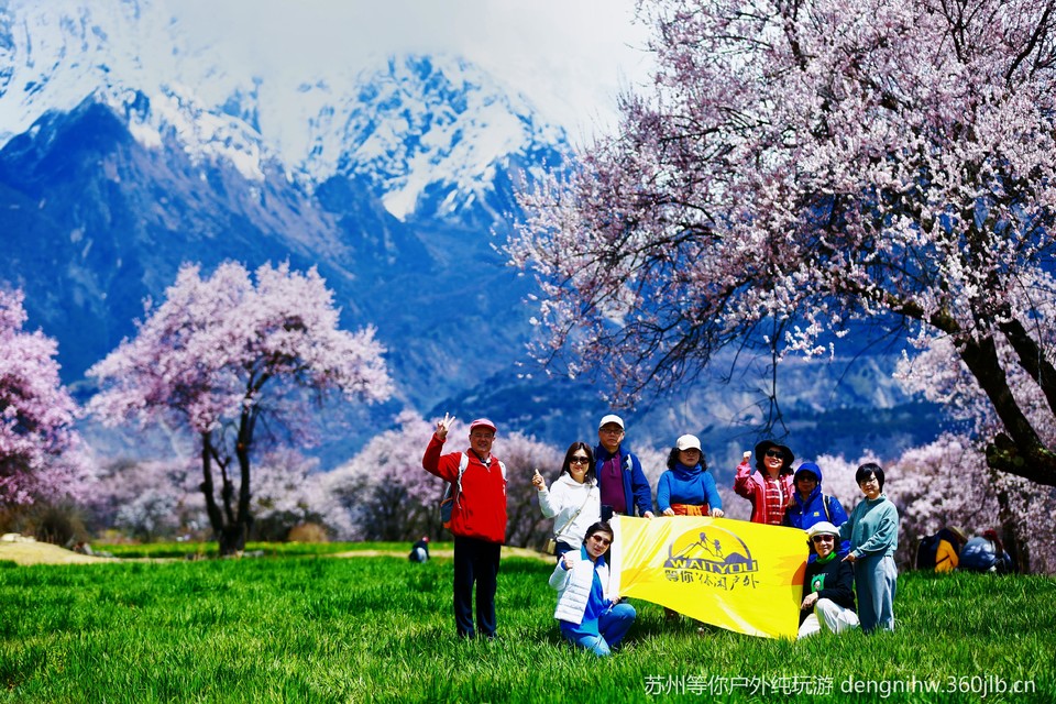 微信图片_20250515231230