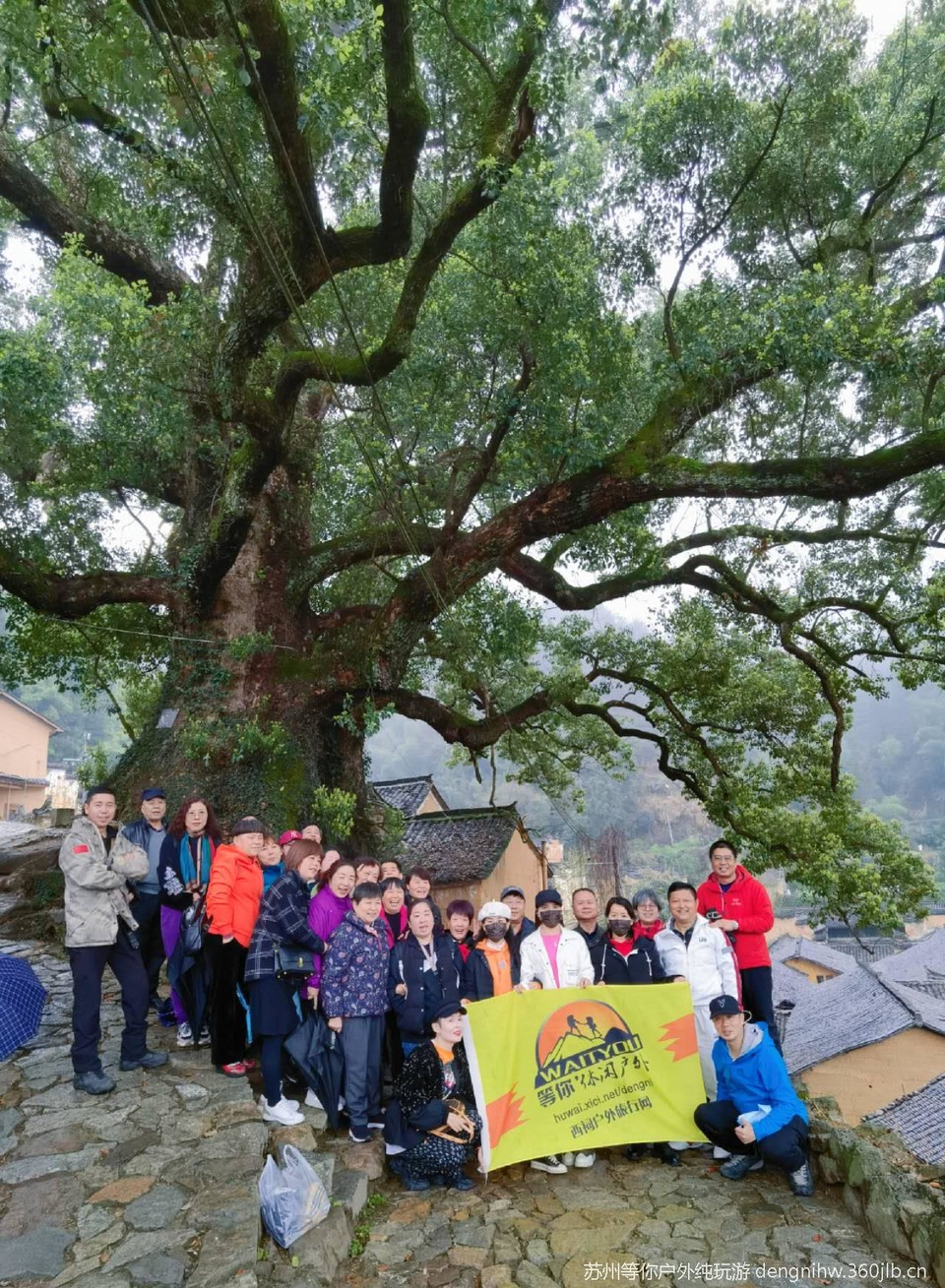 AvVo6k0dGoYmsn7-2L_DO0ElKq0RLIgVxtlRSxaYbNeu_Dbrgq3gl4lOPdJA4hsp