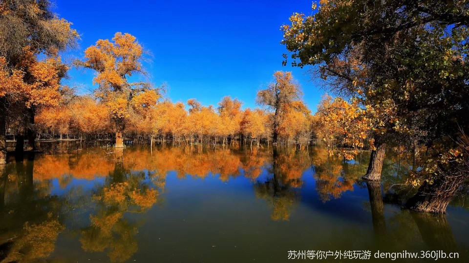 AvVo6k0dGoYmsn7-2L_DO8euXbWqer4nOzkOHzUp6MXA27_zwIANXNhJul3nO1fD