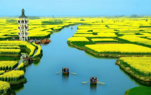 4.4-4.5日【春田花事】“四大花海”兴化千垛水上花海、李中水上森林、泰州老街