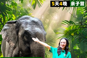 【2026寒假】西双版纳5日亲子营|专属PBL项目式学习&原始森林公园研学通道+野象谷 vip 体验&5钻酒店4晚连住