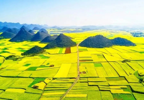 2.17-24日【春暖云南】罗平油菜花、坝美、普者黑、九龙瀑布、东川红土地、元阳梯田、弥勒、碧色寨+抚仙湖