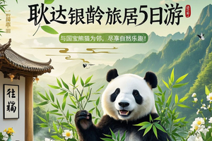 6.15【耿达旅居5日】与熊猫为邻，享自然乐趣