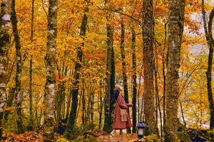 13/15 秋假【喇叭河+雅家梗】领奖牌，叶落鹿鸣，喇叭河秋色上线！