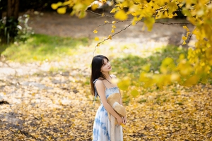 11.22【腾冲】银为有你，三生有杏，奔赴一场黄金之约，纯玩双飞6日游