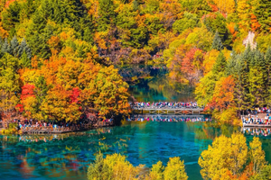 天天发团 【九寨沟 黄龙 ▏动车】初雪撞彩林，一半金秋一半冬美哭了，纯玩双动三日游