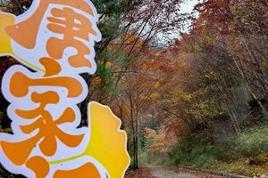 12.14 含门票景交【独家线路｜唐家河】，冬日初雪，野生动物偶遇记