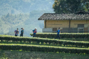 2026福建 · 尤溪书京村“ 农信杯 ”越野赛