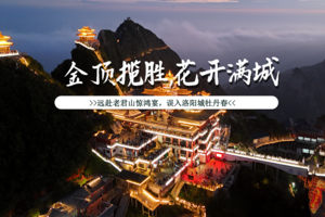 【远赴老君山|花开洛阳城】清明假期自驾洛阳赏牡丹，登临老君山，把春天过成盛唐的模样