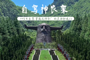 【神农架深度探秘自驾】5.1-5.5闯入北纬31°的原始森林，华中屋脊-大九湖-神农顶-官门山-天燕-神农坛-金猴岭