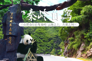 【成行|秦岭探秘自驾 】5.1-5.5纵贯秦岭核心区域 -秦岭绝美公路-深入秦岭腹地，才能领会“龙脉”二字！