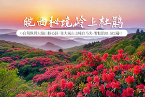 【成行|皖西秘境·岭上杜鹃】5.1-4|自驾纵贯大别山核心区-登大别山主峰白马尖-看杜鹃映山红遍