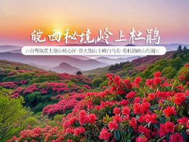 【成行|皖西秘境·岭上杜鹃】5.1-4|自驾纵贯大别山核心区-登大别山主峰白马尖-看杜鹃映山红遍