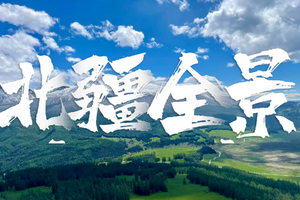 【入疆首选|新疆落地自驾10天】5.22-31北疆+伊犁+赛里木+昭苏，新疆天山环线，乌鲁木齐落地集合（小车自驾）