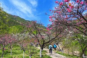 【免票彩石溪4.18（周六）自驾约伴】休闲徒步赏花戏水,俱乐部已统一预约免费门票